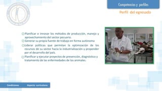 Perfil del egresado
Planificar e innovar los métodos de producción, manejo y
aprovechamiento del sector pecuario.
Generar su propia fuente de trabajo en forma autónoma
Liderar políticas que permitan la optimización de los
recursos de su sector hacia la industrialización y propender
por el desarrollo del país.
Planificar y ejecutar proyectos de prevención, diagnóstico y
tratamiento de las enfermedades de los animales.
Condiciones Aspecto curriculares
 