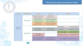 Área Sub áreas Nivel I Nivel II Nivel III
Ciencias
básicas
Generales
Biología molecular
HP 64 HI 80 C 3
Bioquímica
HP 64 HI 32 C 2
Matemáticas
HP 64 HI 32 C 2
Economía general
HP 32 HI 64 C 2
Informática
HP 32 HI 16 C 1
Física biomédica
HP 64 HI 80 C 3
Especificas
Histología HP 64 HI 80 C3
Anatomía i
HP 64 HI 80 C 3
Anatomía ii
HP 64 HI 80 C 3
Fisiología I HP 64 HI 128 C 4
Microbiología HP 64 HI 80 C 3
Etología
HP 64 HI 80 C 3
Bienestar animal HP 64 HI 80 C 3
Zootecnia general
HP 64 HI 80 C 3
Semiología I
HP 64 HI 80 C 3
Semiología II HP 64 HI 80 C 3
 