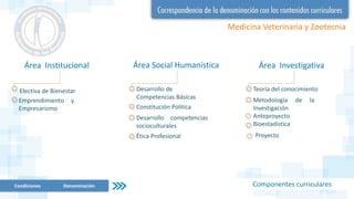 Condiciones Denominación
Medicina Veterinaria y Zootecnia
Componentes curriculares
Área Social Humanística Área Investigativa
Proyecto
Desarrollo de
Competencias Básicas
Constitución Política
Desarrollo competencias
socioculturales
Ética Profesional
Teoría del conocimiento
Metodología de la
Investigación
Anteproyecto
Bioestadística
Área Institucional
Electiva de Bienestar
Emprendimiento y
Empresarismo
 