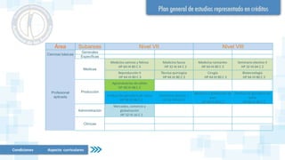 Condiciones Aspecto curriculares
Área Subareas Nivel VII Nivel VIII
Ciencias básicas
Generales
Especificas
Profesional
aplicada
Medicas
Medicina caninos y felinos
HP 64 HI 80 C 3
Medicina fauna
HP 32 HI 64 C 2
Medicina rumiantes
HP 64 HI 80 C 3
Seminario electivo II
HP 32 HI 64 C 2
Reproducción II
HP 64 HI 80 C 3
Técnica quirúrgica
HP 64 HI 80 C 3
Cirugía
HP 64 HI 80 C 3
Biotecnología
HP 64 HI 80 C 3
Producción
Agroindustrias de sólido
HP 48 HI 48 C 2
Producción ganadería de carne
HP 48 HI 48 C 2
Seminario electivo I
HP 32 HI 64 C 2
Medicina y producción de
aves
HP 48 HI 48 C 2
Producción ganadería de
leche
HP 48 HI 48 C 2
Administración
Mercadeo, comercio y
globalización
HP 32 HI 16 C 1
Clínicas
 