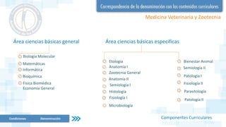 Medicina Veterinaria y Zootecnia
Componentes Curriculares
Área ciencias básicas general Área ciencias básicas especificas
Biología Molecular
Matemáticas
Informática
Bioquímica
Física Biomédica
Economía General
Etología
Anatomía I
Zootecnia General
Anatomía II
Patología II
Parasitología
Fisiología II
Patología I
Semiología II
Microbiología
Fisiología I
Histología
Semiología I
Bienestar Animal
Condiciones Denominación
 