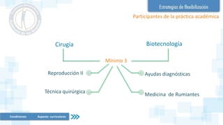 Participantes de la práctica académica
Cirugía Biotecnología
Reproducción II
Medicina de Rumiantes
Ayudas diagnósticas
Técnica quirúrgica
Mínimo 3
Condiciones Aspecto curriculares
 