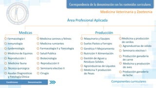 Área Profesional Aplicada
Medicina Veterinaria y Zootecnia
Farmacología I
Inmunología
Medicina de Equinos
Reproducción I
Ayudas Diagnosticas
y Patología Clínica
Componentes curriculares
Medicas
Epidemiología
Medicina fauna
Técnica quirúrgica
Medicina caninos y felinos
Medicina rumiantes
Salud Publica
Biotecnología
Cirugía
Farmacología II y Toxicología
Reproducción II
Seminario electivo II
Producción
Maquinaria y Equipos
Suelos Pastos y Forrajes
Genética Y Mejoramiento
Nutrición Y Alimentación
Gestión de Aguas y
Residuos Solidos
Agroindustrias de Líquidos
Medicina Y producción
de Peses
Producción ganadería
de leche
Medicina y producción
de cerdos
Agroindustrias de sólido
Producción ganadería
de carne
Seminario electivo I
Medicina y producción
de aves
Condiciones Denominación
 