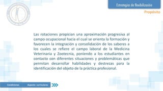 Las rotaciones propician una aproximación progresiva al
campo ocupacional hacia el cual se orienta la formación y
favorecen la integración y consolidación de los saberes a
los cuales se refiere el campo laboral de la Medicina
Veterinaria y Zootecnia, poniendo a los estudiantes en
contacto con diferentes situaciones y problemáticas que
permitan desarrollar habilidades y destrezas para la
identificación del objeto de la práctica profesional.
Propósito
Condiciones Aspecto curriculares
 