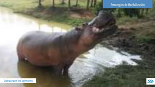 EquimevetVital
Sitios de rotación
ReinaClínica Veterinaria Vets (Chile)Laboratorio clínico CedivetTinajas EquinosGanadería MadrigalGigantónZooparque los caimanes
 