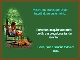 Mostre aos outros que estão invadindo o seu território. Tire uma sonequinha no meio do dia e espreguice antes de levantar....