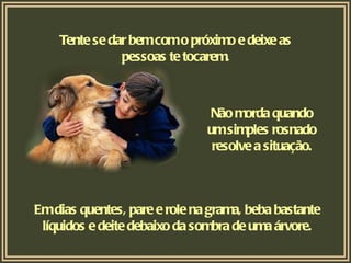 Tente se dar bem com o próximo e deixe as pessoas te tocarem. Não morda quando um simples rosnado resolve a situação. Em dias quentes, pare e role na grama, beba bastante líquidos e deite debaixo da sombra de uma árvore. 