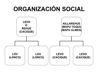 ORGANIZACIÓN SOCIAL LEVO O  REHUE (CACIQUE) LOV (LONCO) LOV (LONCO) AILLAREHUE (MAPU TOQUI) (MAPU ULMEN) LEVO (CACIQUE) LEVO (CACIQUE) 