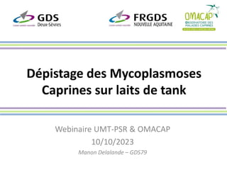 Dépistage des Mycoplasmoses
Caprines sur laits de tank
Webinaire UMT-PSR & OMACAP
10/10/2023
Manon Delalande – GDS79
 