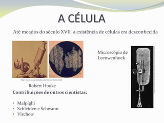 A CÉLULA
Até meados do século XVII a existência de células era desconhecida
Contribuições de outros cientistas:
• Malpighi
• Schleiden e Schwann
• Virchow
http://www.ucmp.berkeley.edu/history/hooke.html
Robert Hooke
http://www.ucmp.berkeley.edu/history/leeuwenhoek.html
Microscópio de
Leeuwenhoek
 