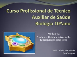 Módulo A1
A célula – Unidade estrutural e
funcional dos seres vivos
Prof. Leonor Vaz Pereira
Outubro 2012
 