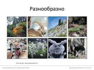 Разнообразно 
Источник фото: www.jungfraualetsch.ch 
Consulting-Büro Dr. Kai Pagenkopf © 2014 Branding of destinations in tourism 
 