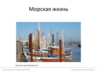 Морская жизнь 
Источник: www.ostfriesland.de 
Consulting-Büro Dr. Kai Pagenkopf © 2014 Branding of destinations in tourism 
 