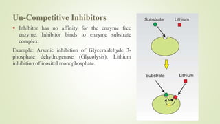 Basics of Enzyme Catalysis | PPT