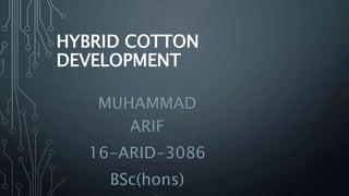 HYBRID COTTON
DEVELOPMENT
MUHAMMAD
ARIF
16-ARID-3086
BSc(hons)
 