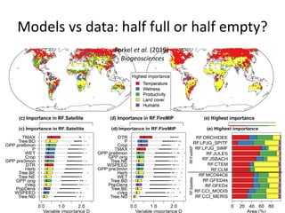 Models vs data: half full or half empty?
Forkel et al. (2019)
Biogeosciences
 