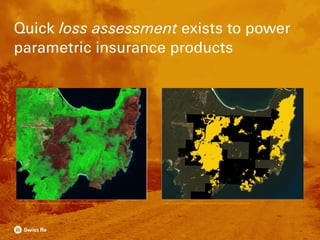 Quick loss assessment exists to power
parametric insurance products
Images and data in collaboration with VanderSat, https://www.vandersat.com/ Images and data in collaboration with VanderSat, https://www.vandersat.com/
 
