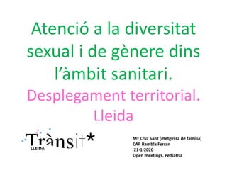 Atenció a la diversitat
sexual i de gènere dins
l’àmbit sanitari.
Desplegament territorial.
Lleida
Mª Cruz Sanz (metgessa de família)
CAP Rambla Ferran
21-1-2020
Open meetings. Pediatria
 