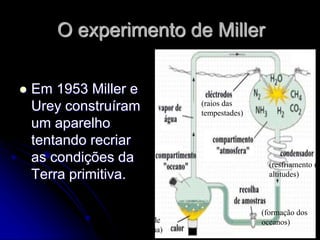 O experimento de Miller
 Em 1953 Miller e
Urey construíram
um aparelho
tentando recriar
as condições da
Terra primitiva.
(raios das
tempestades)
(resfriamento na
altitudes)
(formação de
vapor d’água)
(formação dos
oceanos)
 