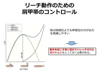 リーチ動作のための
肩甲帯のコントロール
筋は短縮位よりも伸張位の方が出力
を発揮しやすい
動作を起こす前に筋がストレッチされた
ポジションをとっておく必要がある。
 
