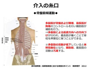 多裂筋
腸肋筋
最長筋
棘筋
脊
柱
起
立
筋
介入の糸口
多裂筋が骨盤および腰椎、最長筋が
胸椎のコントロールを行い腸肋筋が
補助を行う。
⇒多裂筋による鉛直方向への方向づ
けが行われ、最長筋が働くことで脊
柱を伸展位に保つことができる。
※多裂筋の活動が低下していると体
幹屈曲位となり、腸肋筋、最長筋の
活動は亢進する。
鈴木俊明他：筋緊張検査における検査のポイント 関西理学 2012
●骨盤前傾運動●
 