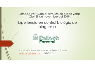 Experiència en control biològic de
plagues a
Jordi Cuyàs Sierra , Director tècnic Belloch Forestal
jordi.cuyas@belloch.eu 647423221
Jornada Patt 'Cap al Zero-fito en espais verds'
Olot 29 de novembre del 2019.
 