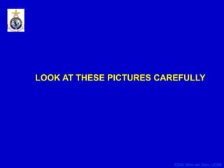 CS40, Wim van Dam, UCSB
LOOK AT THESE PICTURES CAREFULLY
 