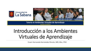 Introducción a los Ambientes
Virtuales de Aprendizaje
Erwin Hernando Hernández Rincón, MD, Msc, PhD
 