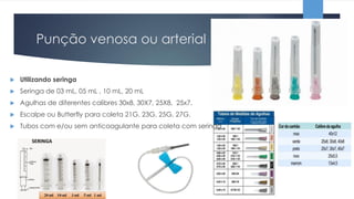 1. coleta de sangue | PDF