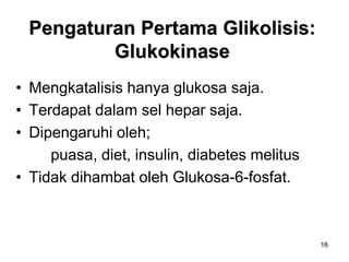 16
Pengaturan Pertama Glikolisis:
Glukokinase
• Mengkatalisis hanya glukosa saja.
• Terdapat dalam sel hepar saja.
• Dipengaruhi oleh;
puasa, diet, insulin, diabetes melitus
• Tidak dihambat oleh Glukosa-6-fosfat.
 