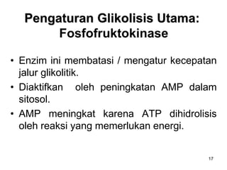 17
Pengaturan Glikolisis Utama:
Fosfofruktokinase
• Enzim ini membatasi / mengatur kecepatan
jalur glikolitik.
• Diaktifkan oleh peningkatan AMP dalam
sitosol.
• AMP meningkat karena ATP dihidrolisis
oleh reaksi yang memerlukan energi.
 