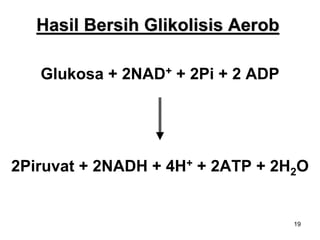19
Hasil Bersih Glikolisis Aerob
Glukosa + 2NAD+ + 2Pi + 2 ADP
2Piruvat + 2NADH + 4H+ + 2ATP + 2H2O
 