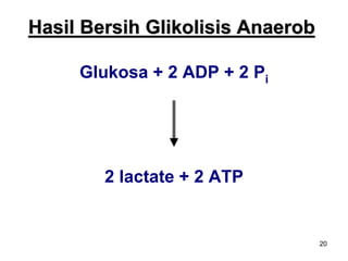 20
Hasil Bersih Glikolisis Anaerob
Glukosa + 2 ADP + 2 Pi
2 lactate + 2 ATP
 