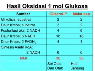 22
Hasil Oksidasi 1 mol Glukosa
Sumber Gliserol-P Malat-asp
Glikolisis; substrat 2 2
Daur Krebs; substrat 2 2
Fosforilasi oks; 2 NADH 4 6
Daur Krebs; 6 NADH 18 18
Daur Krebs; 2 FADH2 4 4
Sintesis Asetil KoA;
2 NADH 6 6
Total 36 38
Sel Otot,
Dan Otak
Hati,
Jantung
 