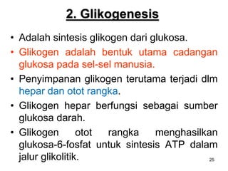25
2. Glikogenesis
• Adalah sintesis glikogen dari glukosa.
• Glikogen adalah bentuk utama cadangan
glukosa pada sel-sel manusia.
• Penyimpanan glikogen terutama terjadi dlm
hepar dan otot rangka.
• Glikogen hepar berfungsi sebagai sumber
glukosa darah.
• Glikogen otot rangka menghasilkan
glukosa-6-fosfat untuk sintesis ATP dalam
jalur glikolitik.
 