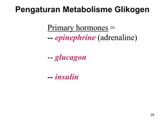 29
Primary hormones =
-- epinephrine (adrenaline)
-- glucagon
-- insulin
Pengaturan Metabolisme Glikogen
 