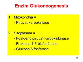 38
Enzim Glukoneogenesis
1. Mitokondria =
- Piruvat karboksilase
2. Sitoplasma =
- Fosfoenolpiruvat karboksikinase
- Fruktosa 1,6-bisfosfatase
- Glukosa 6 fosfatase
 