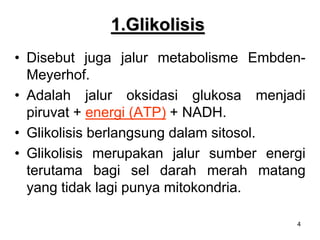 4
1.Glikolisis
• Disebut juga jalur metabolisme Embden-
Meyerhof.
• Adalah jalur oksidasi glukosa menjadi
piruvat + energi (ATP) + NADH.
• Glikolisis berlangsung dalam sitosol.
• Glikolisis merupakan jalur sumber energi
terutama bagi sel darah merah matang
yang tidak lagi punya mitokondria.
 