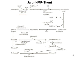 42
Jalur HMP-Shunt
 