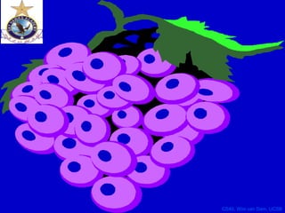 CS40, Wim van Dam, UCSB
 