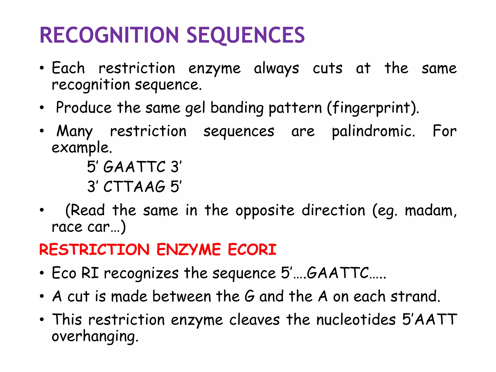 RECOGNITION SEQUENCES
• Each restriction enzyme always cuts at the same
recognition sequence.
• Produce the same gel banding pattern (fingerprint).
• Many restriction sequences are palindromic. For
example.
5’ GAATTC 3’
3’ CTTAAG 5’
• (Read the same in the opposite direction (eg. madam,
race car…)
RESTRICTION ENZYME ECORI
• Eco RI recognizes the sequence 5’….GAATTC…..
• A cut is made between the G and the A on each strand.
• This restriction enzyme cleaves the nucleotides 5’AATT
overhanging.
 