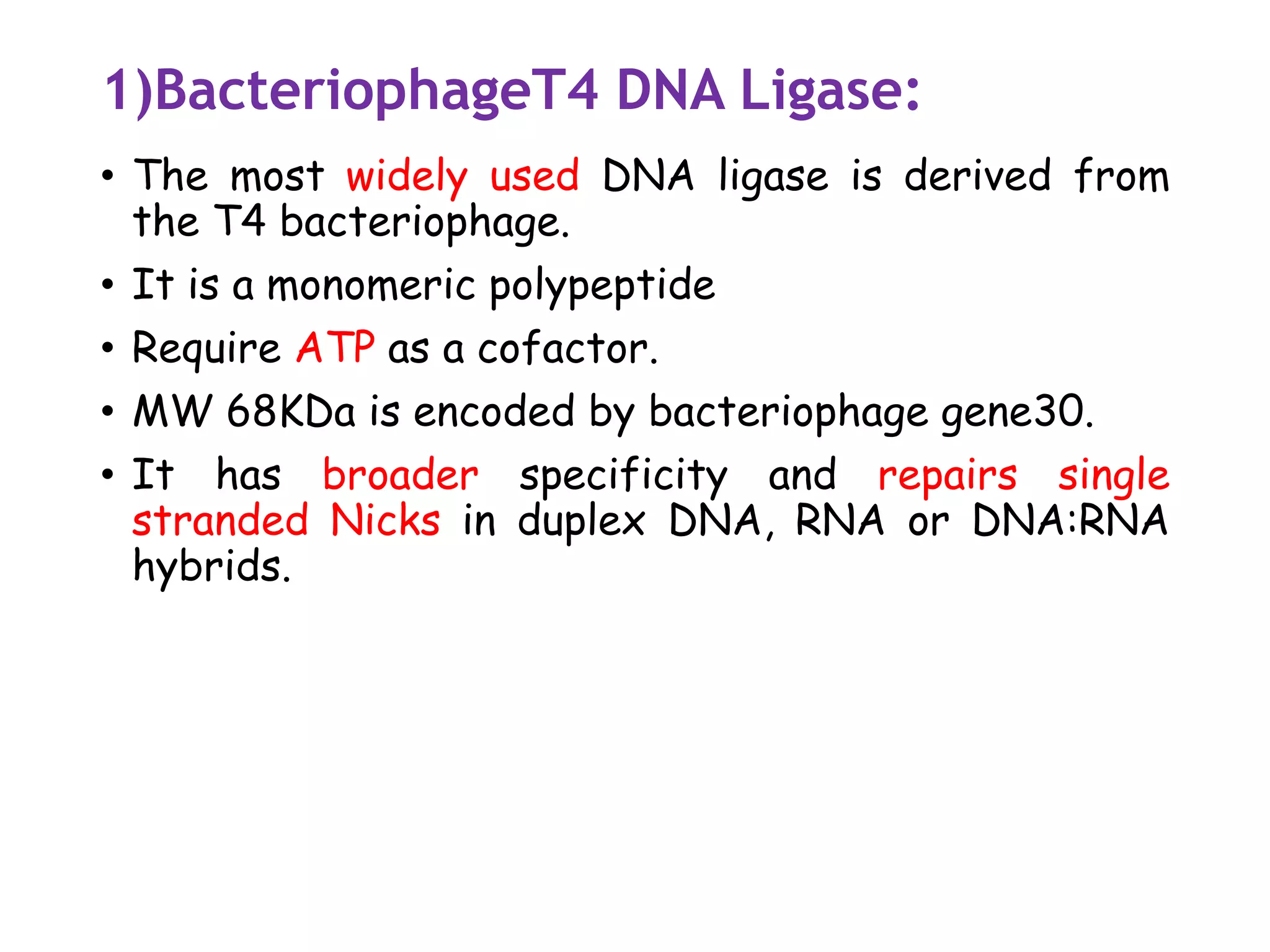1)BacteriophageT4 DNA Ligase:
• The most widely used DNA ligase is derived from
the T4 bacteriophage.
• It is a monomeric polypeptide
• Require ATP as a cofactor.
• MW 68KDa is encoded by bacteriophage gene30.
• It has broader specificity and repairs single
stranded Nicks in duplex DNA, RNA or DNA:RNA
hybrids.
 