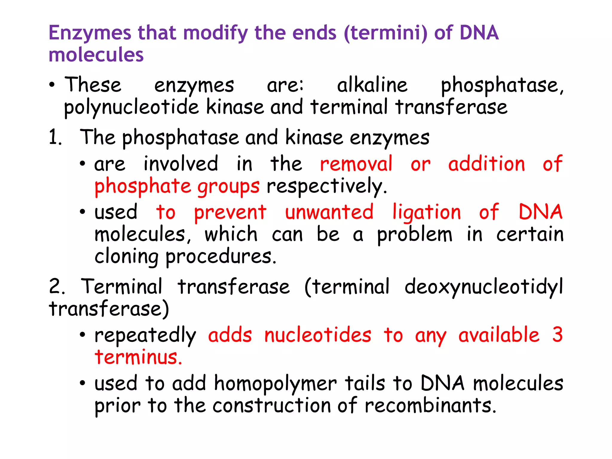 Enzymes that modify the ends (termini) of DNA
molecules
• These enzymes are: alkaline phosphatase,
polynucleotide kinase and terminal transferase
1. The phosphatase and kinase enzymes
• are involved in the removal or addition of
phosphate groups respectively.
• used to prevent unwanted ligation of DNA
molecules, which can be a problem in certain
cloning procedures.
2. Terminal transferase (terminal deoxynucleotidyl
transferase)
• repeatedly adds nucleotides to any available 3
terminus.
• used to add homopolymer tails to DNA molecules
prior to the construction of recombinants.
 