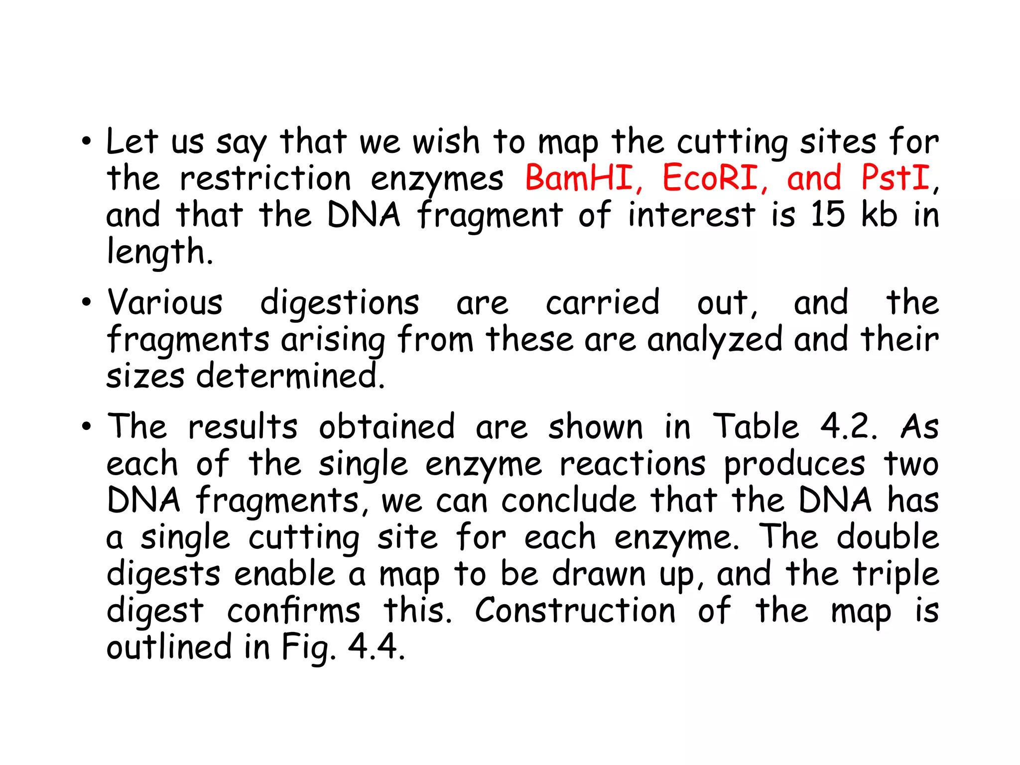 • Let us say that we wish to map the cutting sites for
the restriction enzymes BamHI, EcoRI, and PstI,
and that the DNA fragment of interest is 15 kb in
length.
• Various digestions are carried out, and the
fragments arising from these are analyzed and their
sizes determined.
• The results obtained are shown in Table 4.2. As
each of the single enzyme reactions produces two
DNA fragments, we can conclude that the DNA has
a single cutting site for each enzyme. The double
digests enable a map to be drawn up, and the triple
digest conﬁrms this. Construction of the map is
outlined in Fig. 4.4.
 