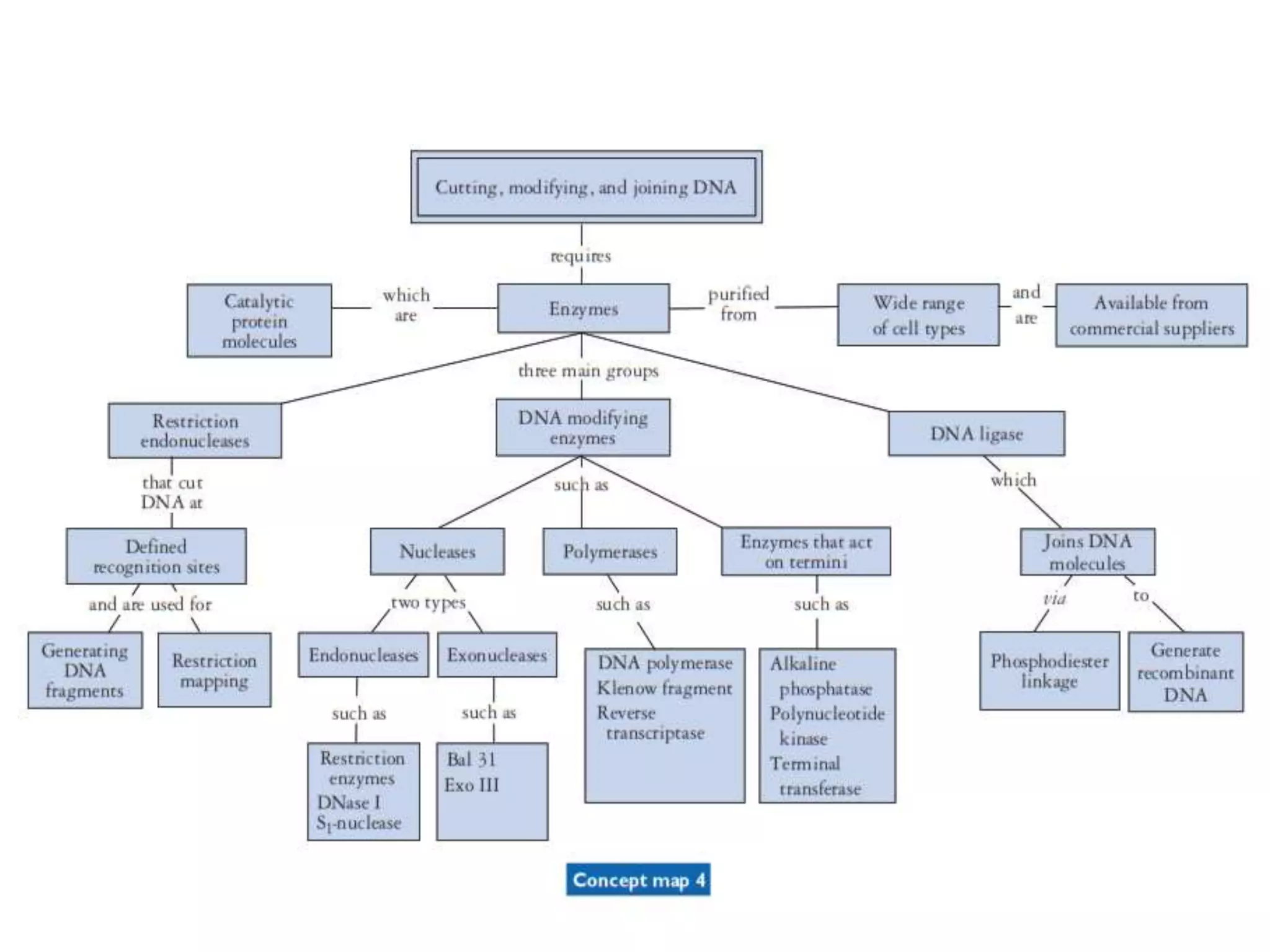 1.introduction to genetic engineering and restriction enzymes