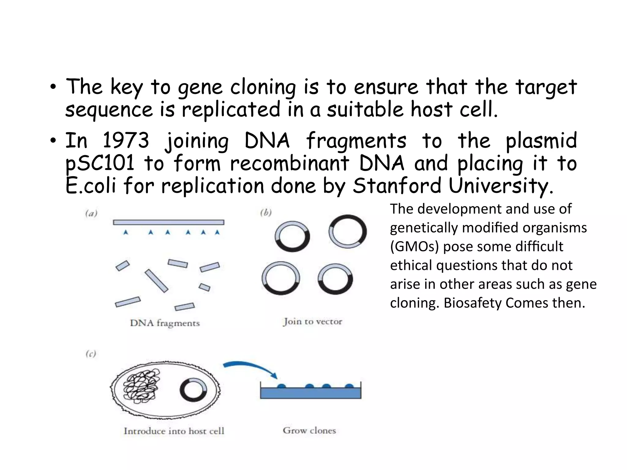 • The key to gene cloning is to ensure that the target
sequence is replicated in a suitable host cell.
• In 1973 joining DNA fragments to the plasmid
pSC101 to form recombinant DNA and placing it to
E.coli for replication done by Stanford University.
The development and use of
genetically modiﬁed organisms
(GMOs) pose some difﬁcult
ethical questions that do not
arise in other areas such as gene
cloning. Biosafety Comes then.
 