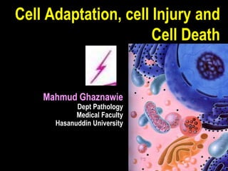 Cell Adaptation, cell Injury and
Cell Death
Mahmud Ghaznawie
Dept Pathology
Medical Faculty
Hasanuddin University
 