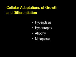 Cellular Adaptations of Growth
and Differentiation
• Hyperplasia
• Hypertrophy
• Atrophy
• Metaplasia
 
