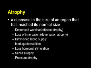 Atrophy
• a decrease in the size of an organ that
has reached its normal size
– Decreased workload (disuse atrophy)
– Loss of innervation (denervation atrophy)
– Diminished blood supply
– Inadequate nutrition
– Loss hormonal stimulation
– Senile atrophy
– Pressure atrophy
 