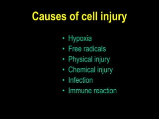 Causes of cell injury
• Hypoxia
• Free radicals
• Physical injury
• Chemical injury
• Infection
• Immune reaction
 